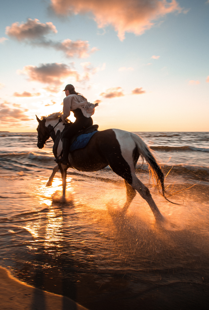 Top 21 Horseback Riding On The Beach